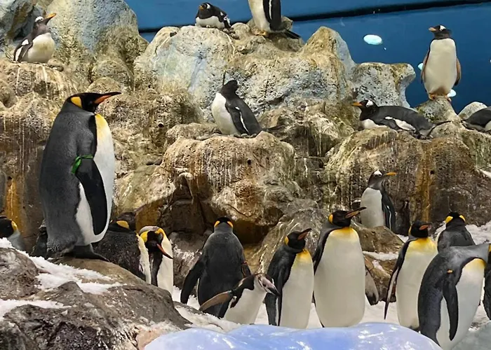 Casa Flor Apartamento