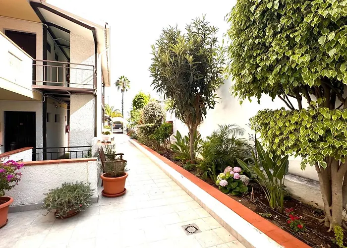 Apartment Casa Flor Puerto de la Cruz (Tenerife)